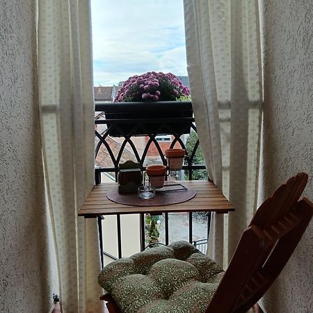 Apartman Element Крушевац Екстериор снимка