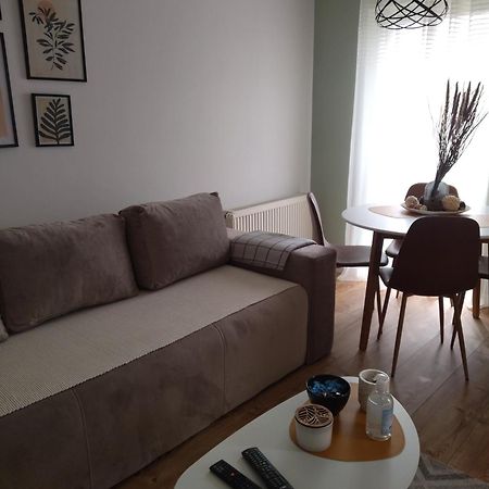 Apartman Element Крушевац Екстериор снимка
