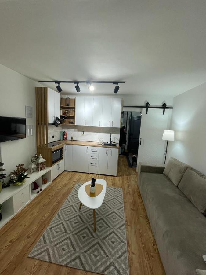 Apartman Element Крушевац Екстериор снимка
