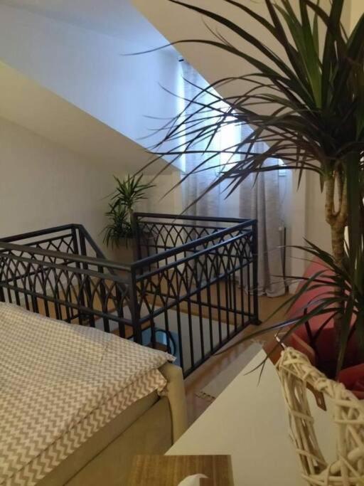 Apartman Element Крушевац Екстериор снимка